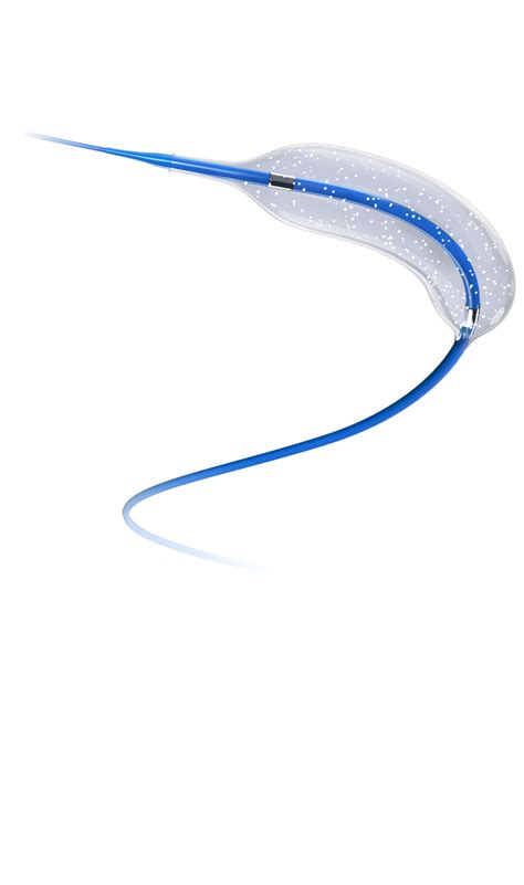 DCB Dilatation Catheter for Hemodialysis Access 先瑞达医疗科技控股有限公司