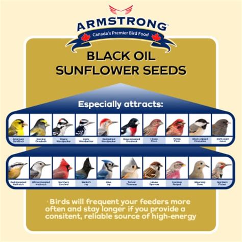 Armstrong Wild Bird Food Black Oil Sunflower Bird Seed Blend 15 4lbs 1 Fry’s Food Stores