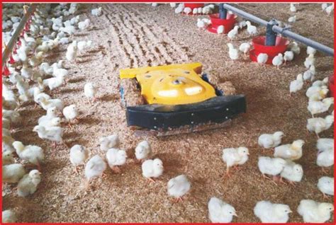 Modern Innovations In Poultry Farming Sr Publications