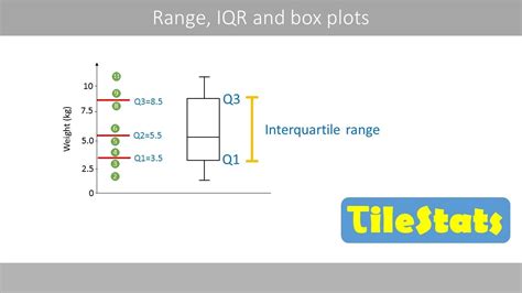 Box Plot Explained: Interpretation, Examples, Comparison, 43% OFF