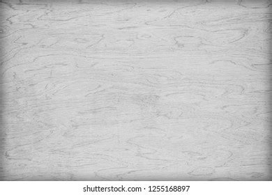 White Plywood Texture Natural Wood Pattern Stock Photo 1255168897 | Shutterstock