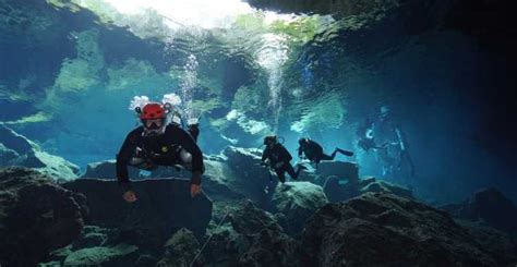 From Cancun Cenotecavern Diving In The Riviera Maya Getyourguide