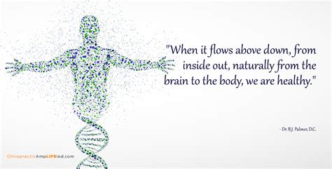 The Spine And Nervous System Are Interrelated And Connected To Every