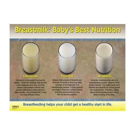 It is all milk even the colostrum. The phrase my milk hasn't cone in yet.. is misleading ...