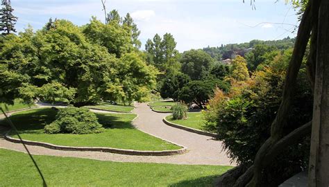 Il Novembre Si Celebra La Giornata Nazionale Degli Alberi