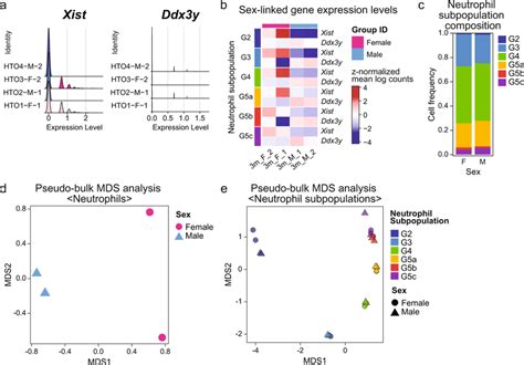 Sex Specific Gene Expression And Neutrophil Subpopulation Distribution Download Scientific