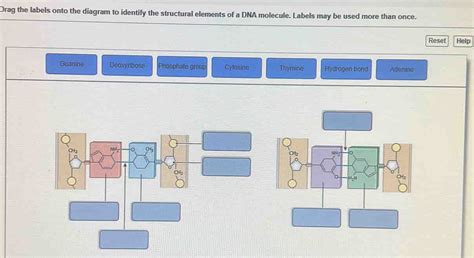 Drag The Labels Onto The Diagram To Identify The Structural Elements Of