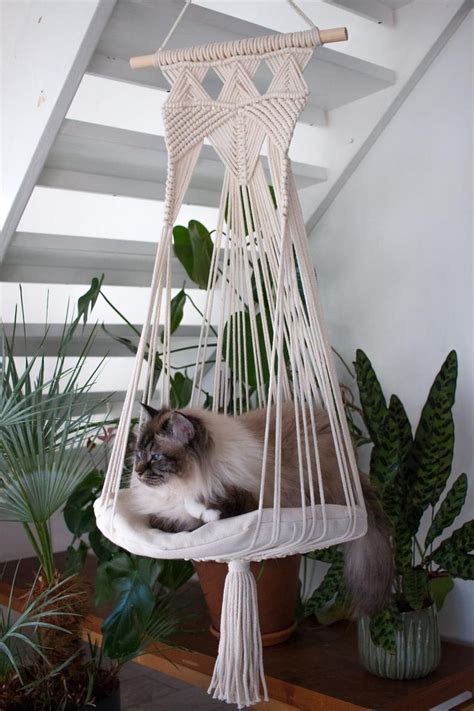 Macrame Cat Hammock Free Pattern Web The Best Thing About This Diy