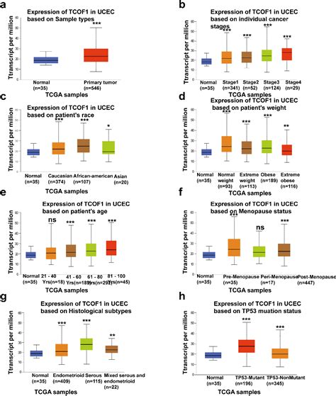 Figure 2 From Tcof1 Is Identified To Be An Unfavorable Biomarker And Is