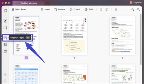 Dividir Páginas Pdf En Archivos Separados En Mac Con Vista Previa ️