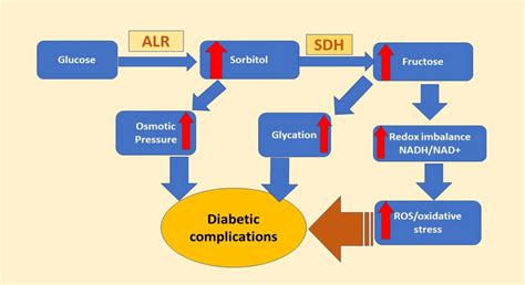 Sorbitol Pathway