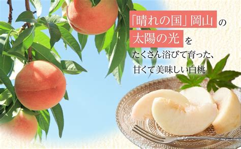 岡山県産 桃 岡山白桃 2025年 先行予約 ロイヤル 約1kg（4～6玉）もも モモ フルーツ 果物 ギフト 岡山市anaのふるさと納税