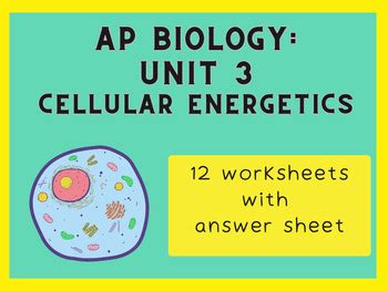 AP Biology Unit 3 Worksheets Cellular Energetics By Learnwithlaura