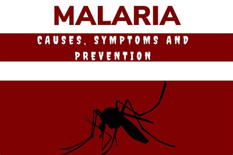 Malaria Causes Symptoms And Prevention Arogya Bhava