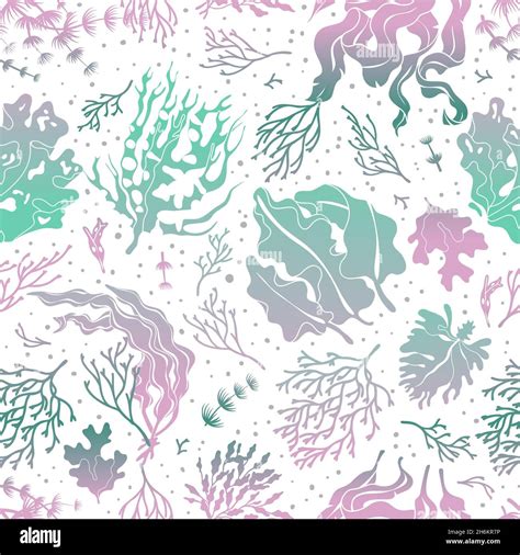 Seaweed Seamless Pattern Marine Plants Silhouette Texture Sea Kelp