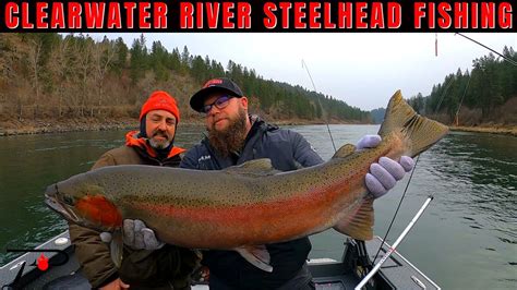 Clearwater River Steelhead Fishing YouTube