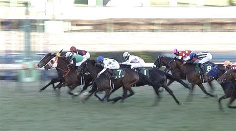 Jra Fun On Twitter ラーグルフ が中山金杯giiiを優勝！ 2023年のjra重賞制覇一番乗り！新年の幕開けを