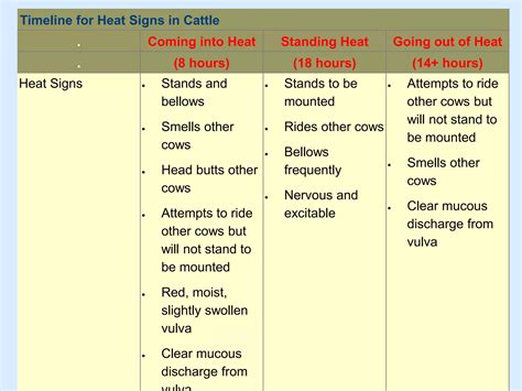 Lecture 4 Estrus Detection Dairy Cows PPT