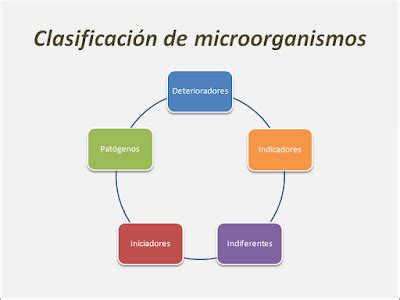 Microbiolog A E Higiene Alimentaria Clasificaci N De Los Microorganismos