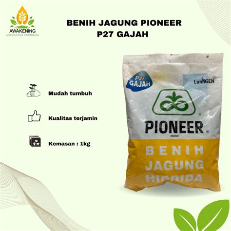 Jual BENIH JAGUNG HIBRIDA PIONEER P27 GAJAH LUMIGEN 1KG Shopee Indonesia