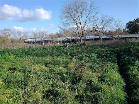 Criadero De Cerdos Intensivo En Alquiler En La Plata Agroads