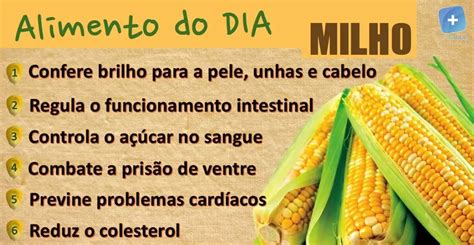 Milho Legume Ou Verdura Mundo Ecologia