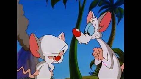 Pinky and the Brain