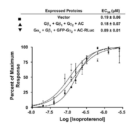 Dose dependence of agonist-induced cAMP accumulation in cells ... 