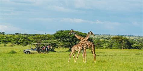 Nairobi National Park Giraffe Centre Optional Beads Tour Getyourguide