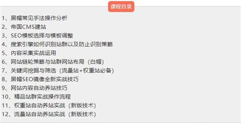 附子seo：seo实战培训课程介绍（黑帽白帽）【七赚网】