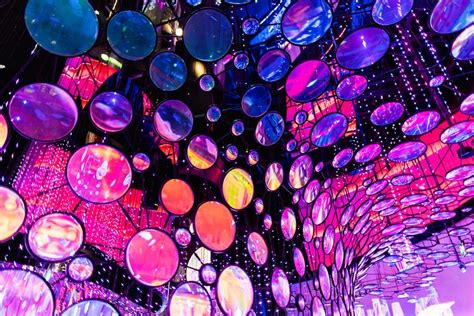 Expo City Dubai | a sustainable legacy | blooloop