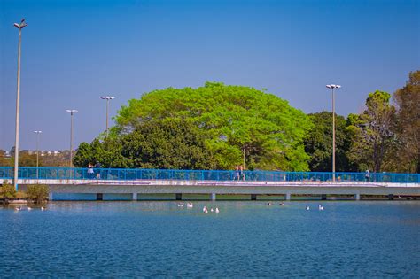 Lago Do Parque Da Cidade Receber Nova Opera O De Limpeza Ag Ncia