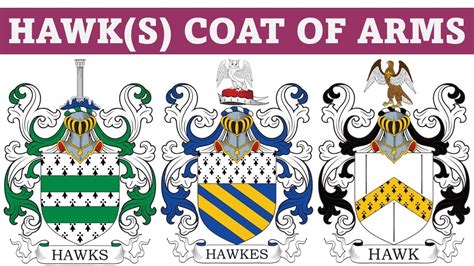 Hawk Coat Of Arms