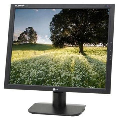 Монитор LG Flatron L1918S, 1280x1024, 75 Гц, TN — купить в интернет ...
