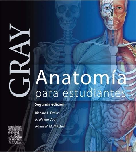 Anatomía Gray 2 Edición Pdf ESPAÑOL