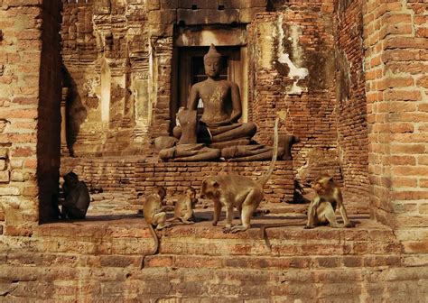 Lopburi Monkey Temple – Kelana by Kayla