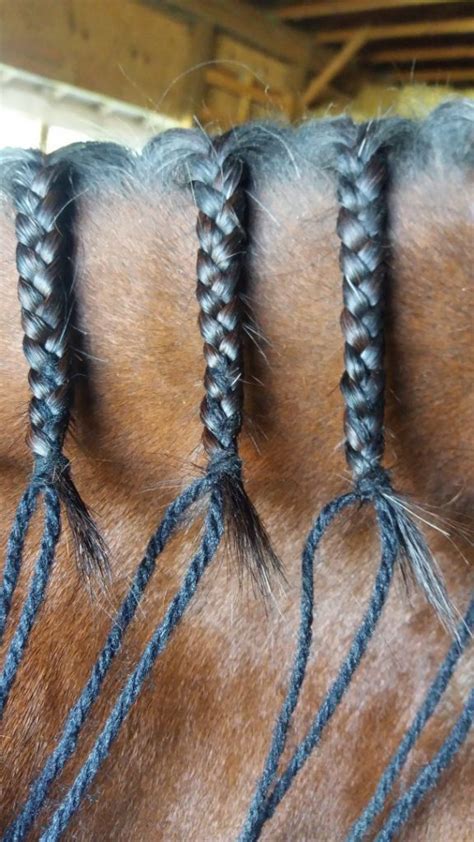 Beginners-Guide-of-Braided-Horse-Manes-a-braided-down-mane - Braid Secrets