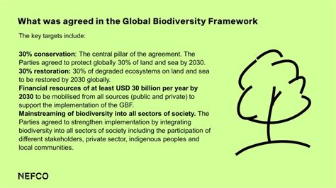 Global Biodiversity Framework Outcomes And Next Steps Nefco