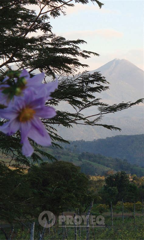 Guatemala Proyeq Calendario Proyeq Alquiler Arrendamiento