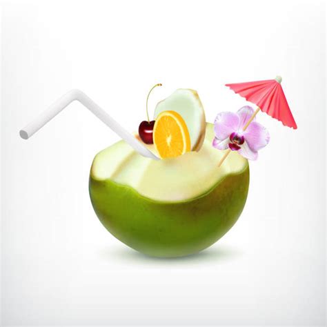 210 Green Coconut Water Stock Illustrations Royalty Free Vector