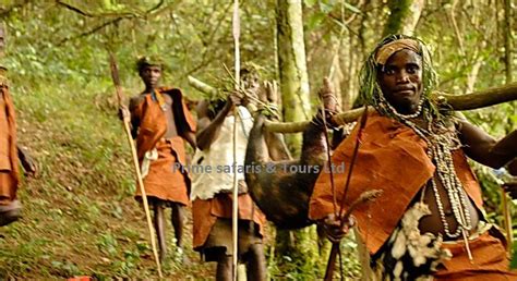 Batwa Experience In Uganda Bwindi Impenetrable National Park