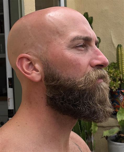 40 Beard Styles For Bald Men