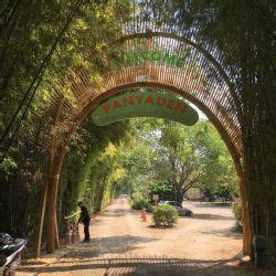 Meditation Sala The Bamboo Cathedral By Cla Clc Entrance Gates