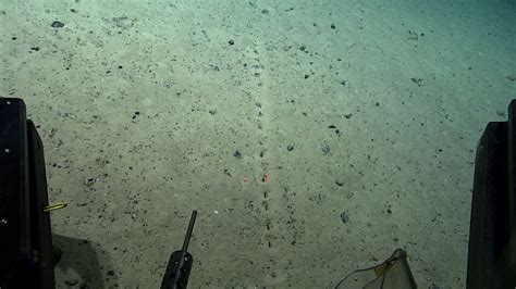 Scientists spot puzzling, unusually perfect holes on the ocean floor ...