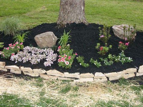 Rock Flower Bed Borders Under Tree Laurieflower Rock Flower Beds