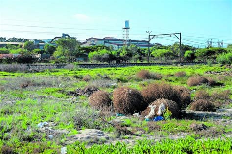 Toxic Waste Cape Town The Mail And Guardian
