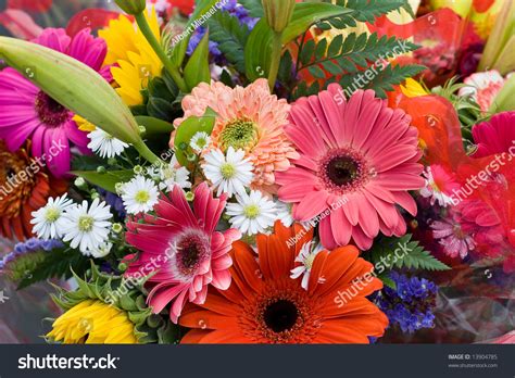 Bright Summer Flower Bouquet Stock Photo 13904785 Shutterstock