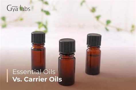 Decoding Essential Oils Vs Carrier Oils Unveiling The Key Differences