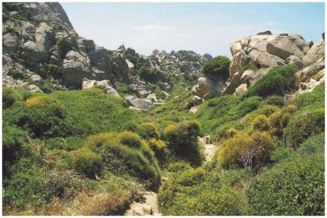 Offres Site Du Parc Naturel Des Alpilles Inondation