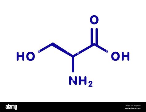 Serine L Serine Ser S Amino Acid Molecule Blue Skeletal Formula On